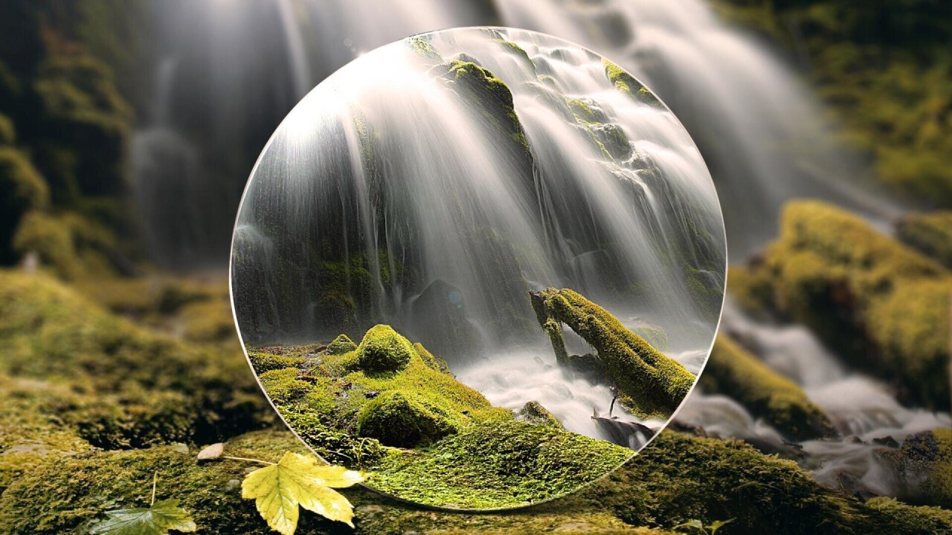 Mossy rocks and a gentle waterfall, with a circular magnifying glass in the center highlighting the vivid green moss and flowing water in sharper detail. A yellow-green leaf rests on the mossy ground in the foreground.