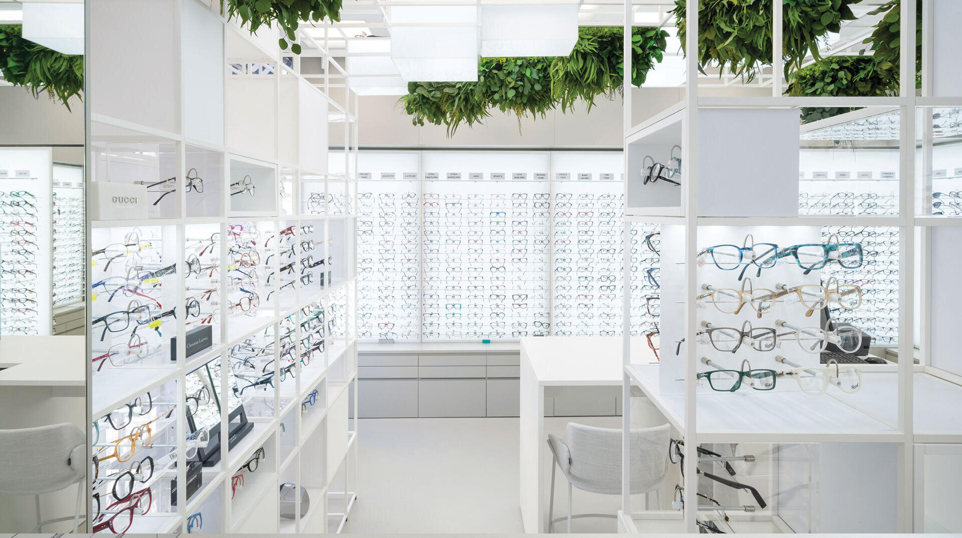 Ein modernes, helles Optikergeschäft mit weißen Regalen, in denen verschiedene Brillenfassungen ausgestellt sind, grünen Pflanzen, die von der Decke hängen, und großen Fenstern, die natürliches Licht hereinlassen.