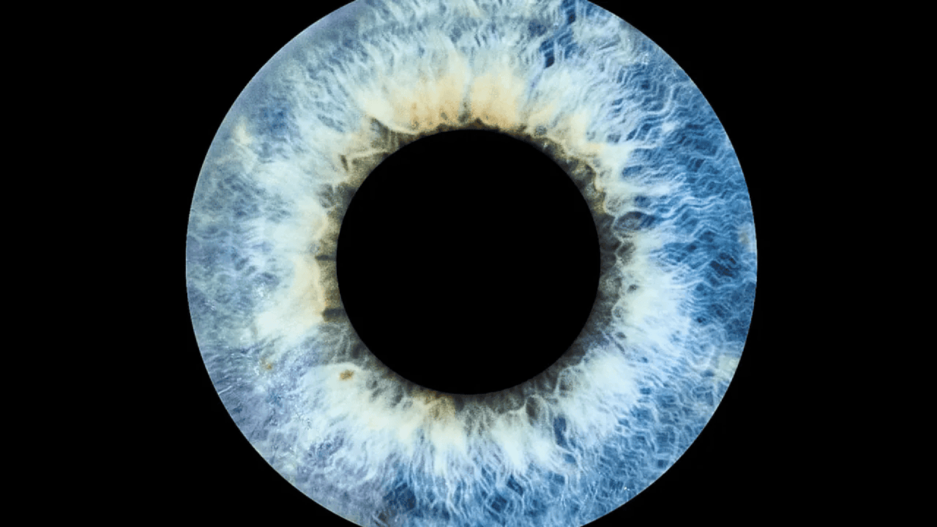 A close-up image of a blue and white human iris with detailed patterns radiating around a dark, circular pupil, set against a black background.