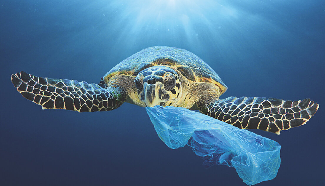 Eine Meeresschildkr&ouml;te schwimmt mit einem St&uuml;ck blauem Plastik im Maul unter Wasser und macht damit auf die Meeresverschmutzung aufmerksam. Sonnenlicht f&auml;llt von oben durch das Wasser.